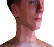 papercraft paper clone